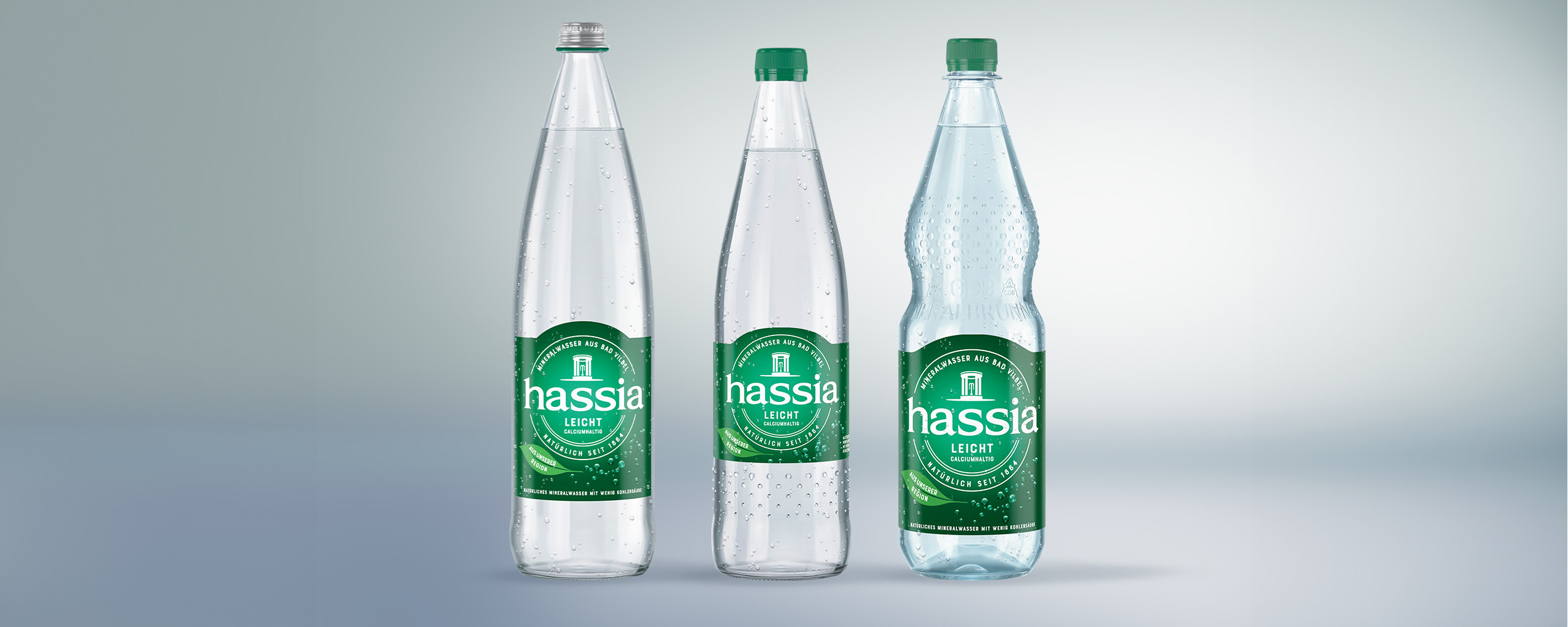 Hassia leicht 12x0,75 l